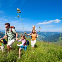 Wandelen